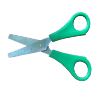 a pair of scissors